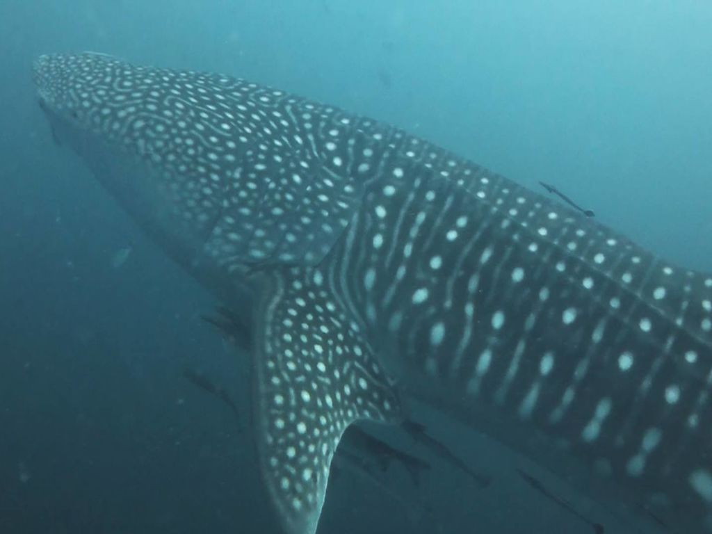 c875edce-6d87-4c32-84cb-c25152a7f20e