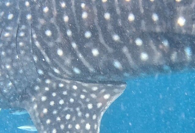 a5847a24-0b4f-4431-a821-d06c35f7b0f4