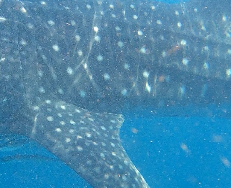 a5847a24-0b4f-4431-a821-d06c35f7b0f4