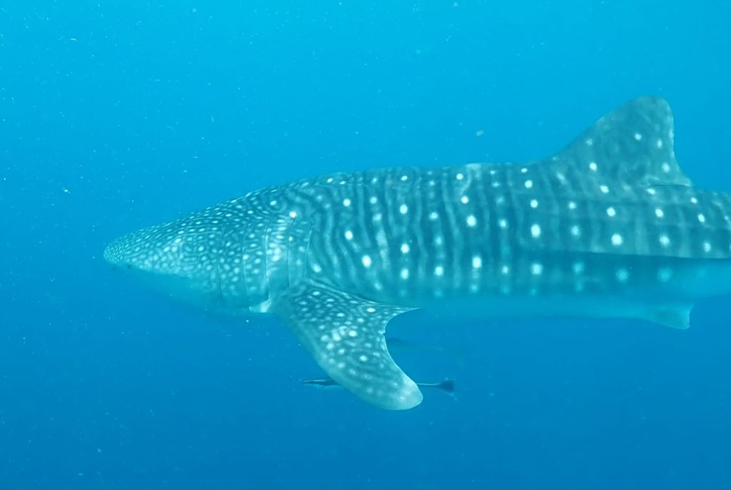 8fc21bed-fbe0-4455-9f6e-2c3e2ce86999