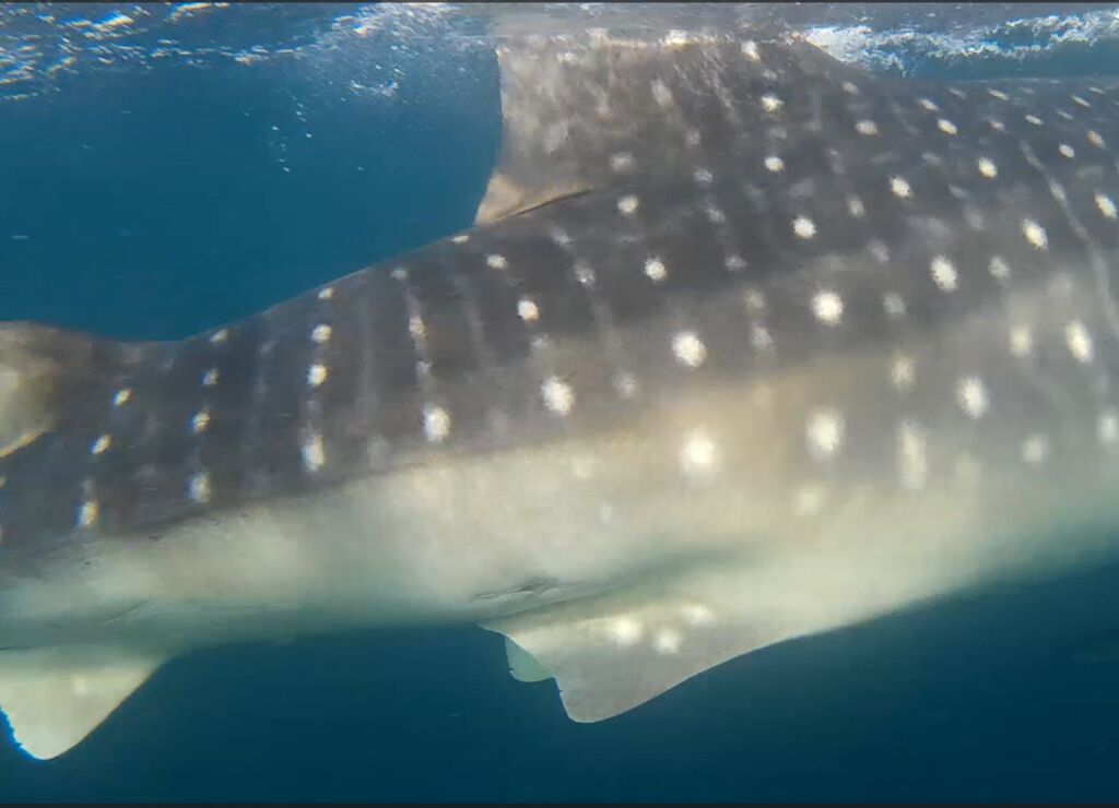 49aa70b6-adb0-4f58-914d-fbd93720541d