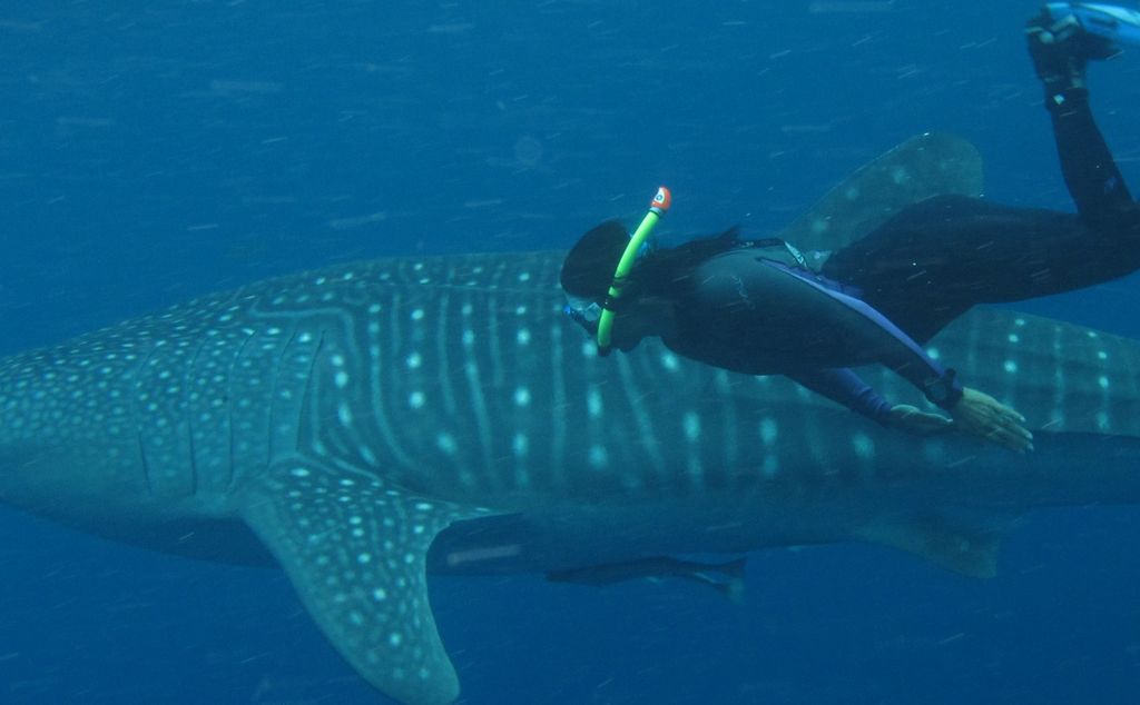 2de18a2d-2690-4c50-a677-632261e84057