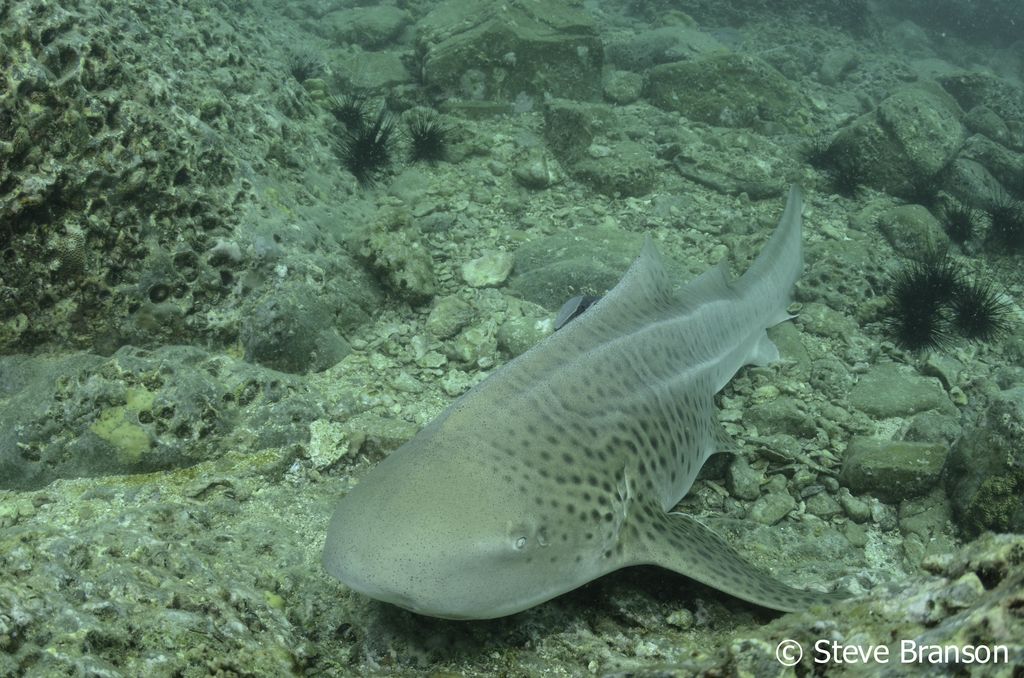 88f4b7c8-cf23-44ad-b3c8-96de2a5d999b