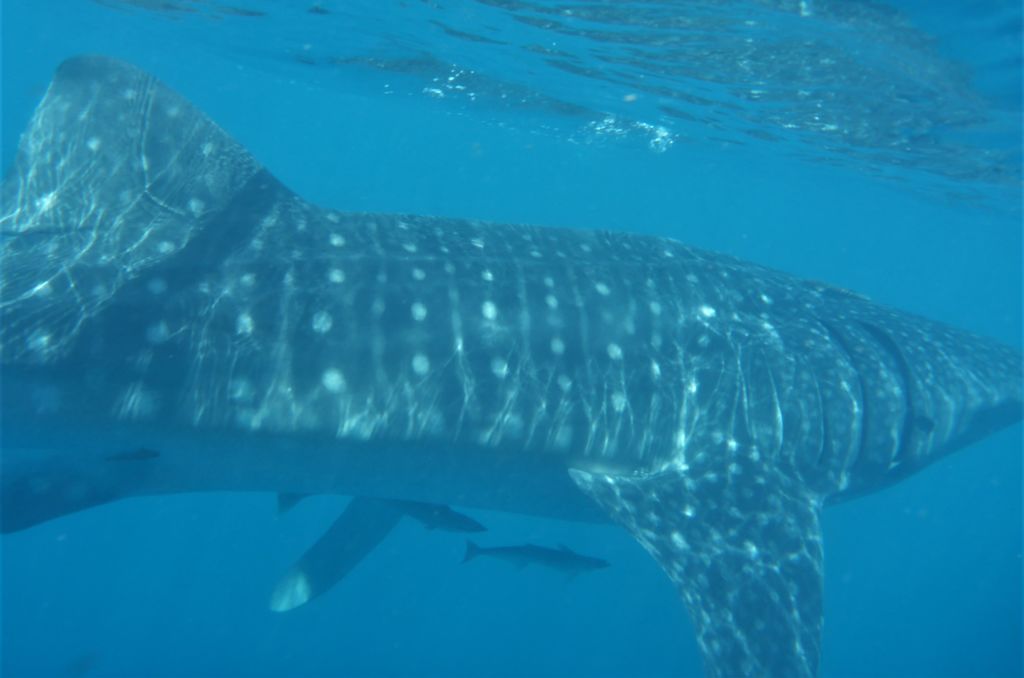 2ebc4712-cb37-4f6e-a713-3b609ce329d3