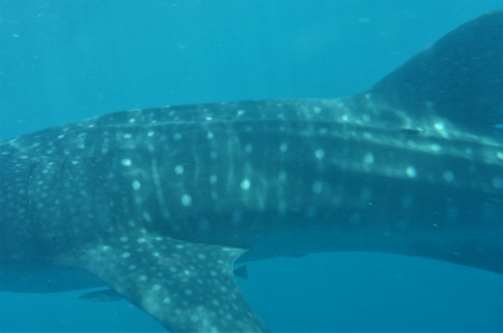 2ebc4712-cb37-4f6e-a713-3b609ce329d3