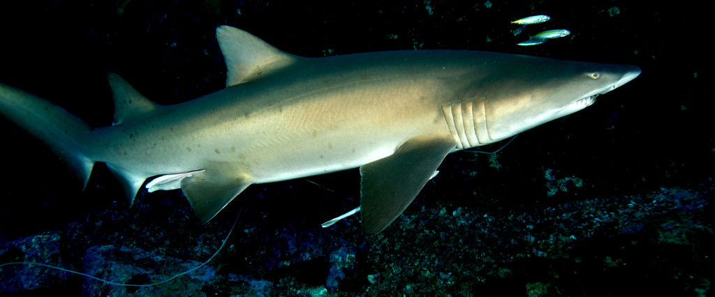 b38df928-ce74-4c8d-b92a-57d03663fe17