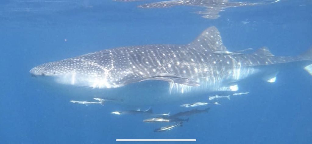 89ec42ab-b07f-496d-83d3-b49afc40f4b8