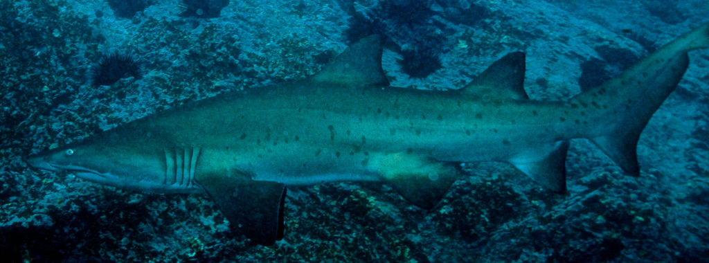 e0aa04cc-8f44-4d0d-9b38-3657e0c465c4