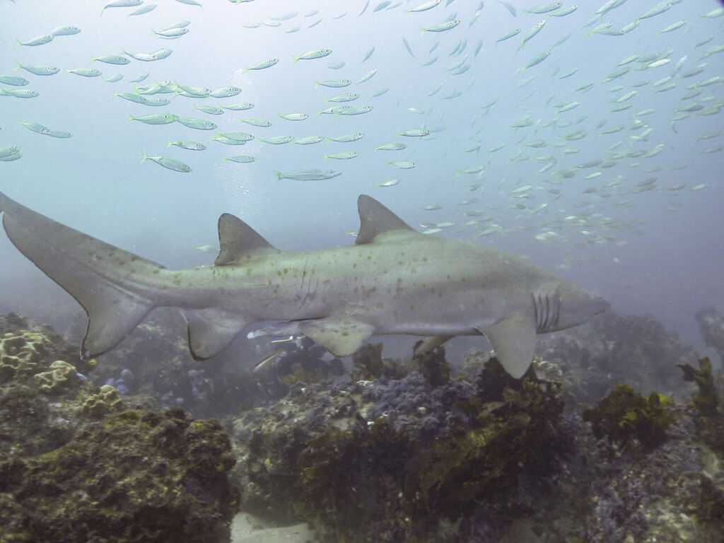 14579da4-152a-4f49-9842-5100aac03d26