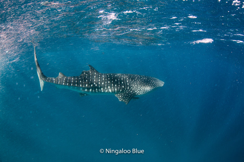 215892a3-d762-4abf-bd13-5bc3aae8621a