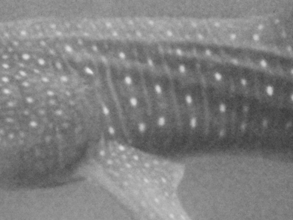 ff6e4c63-74e9-4c17-bb67-be042814bdc8