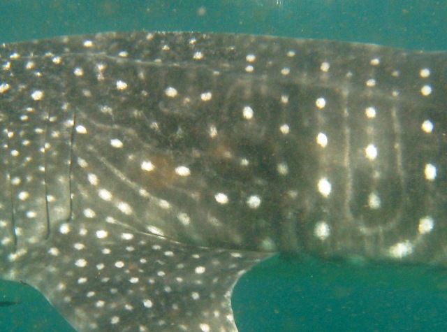 946d76e6-7587-4c32-836b-299cd1d5b044