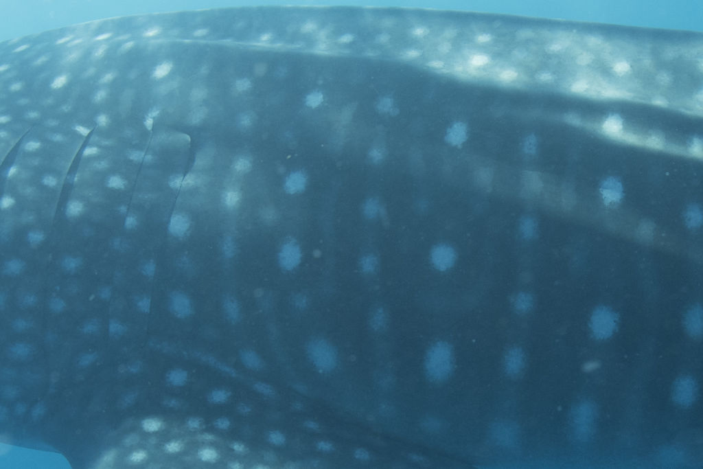 3157d17f-6f30-4765-bc0b-bd124c3560fa