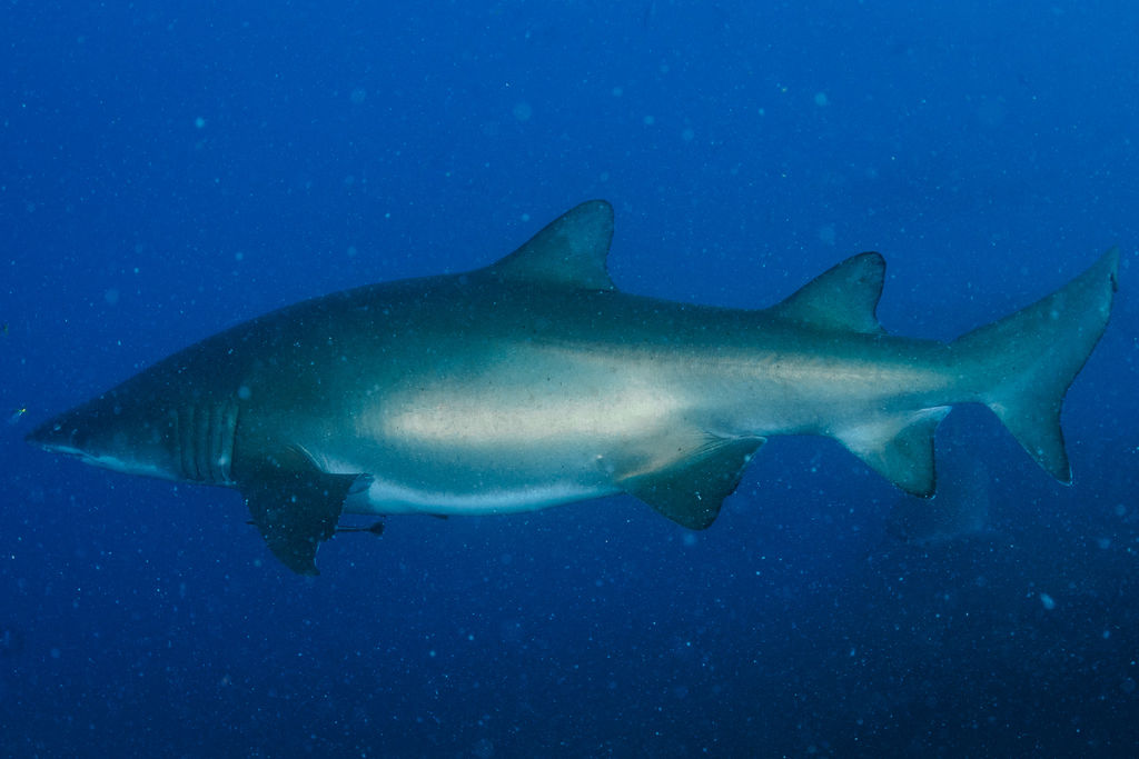 582d1773-2649-4879-ab6a-1ab7f0002575