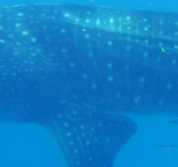 3efc712c-08f8-446c-8c09-3c7e06737a02