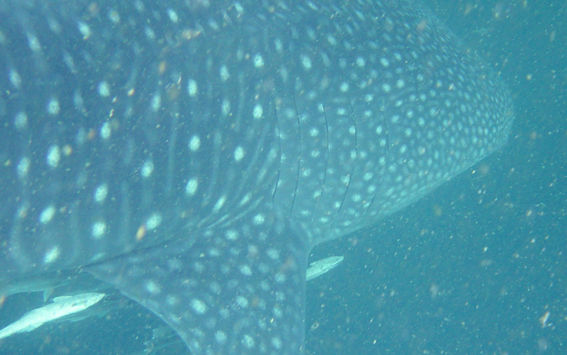 3efc712c-08f8-446c-8c09-3c7e06737a02