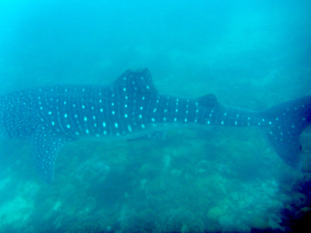 30fc4e9f-0c80-4a6f-8c02-0bbaab14221b