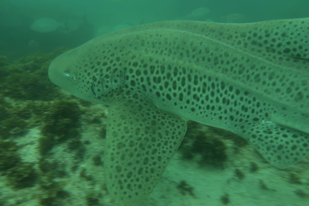 a2c0c8dc-760a-4c29-bd53-f635bb67131a