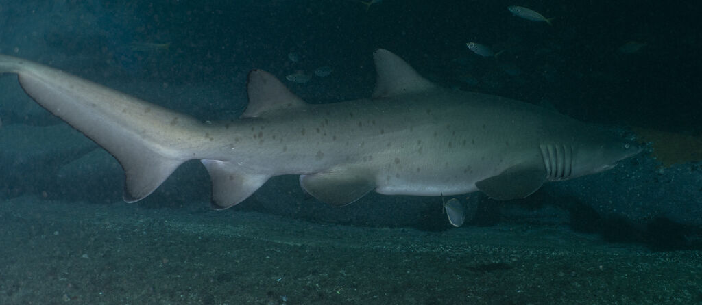 948c749f-10a3-4759-9481-b15da4e68670