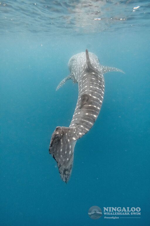 3e5c8688-5ad6-456e-bd31-12e3ed3a45bb