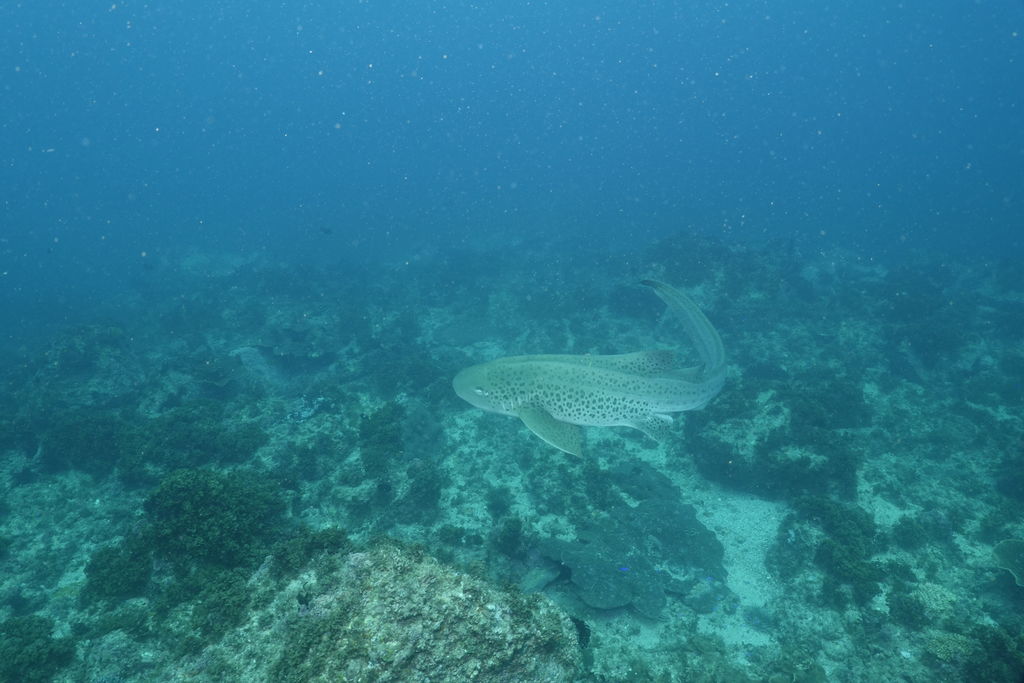 ac914855-ae91-45df-853f-445aab29d1df