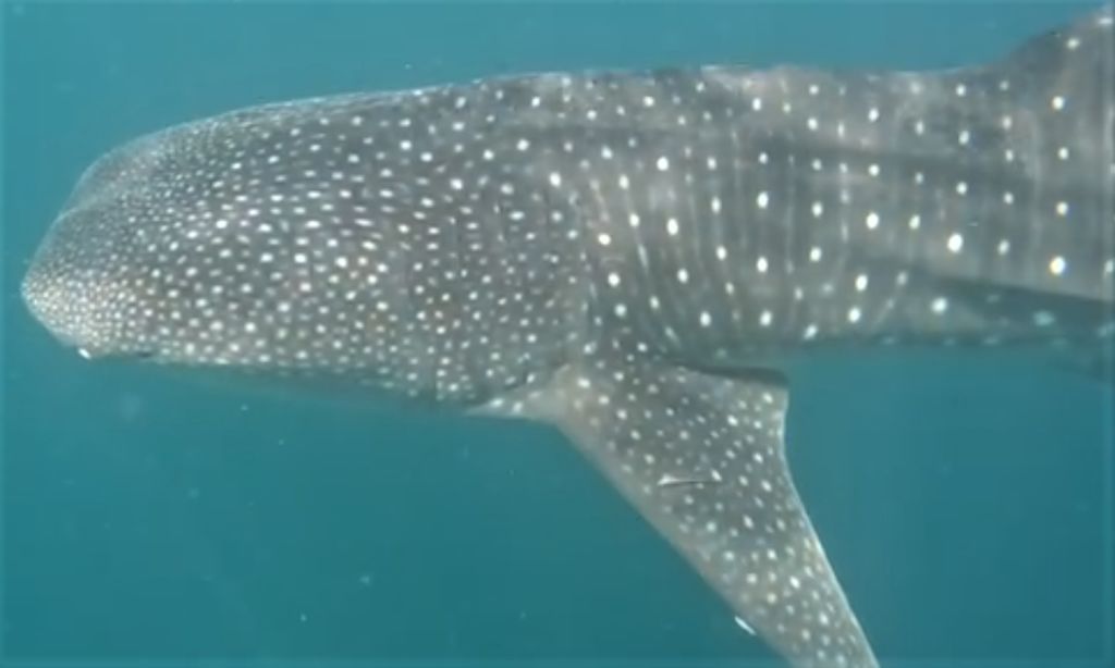 83f96501-b77d-4884-9708-0995d8b8003f