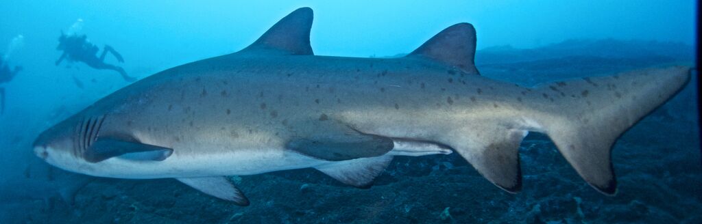 1be8b1f2-a53d-4e42-a8fd-17d7c1ea3519