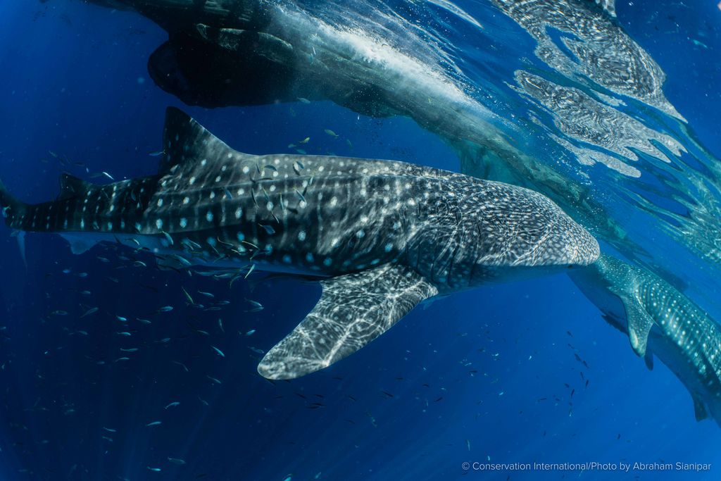 a3ea71a0-f279-4af7-be6c-6dd8bcaf7f28