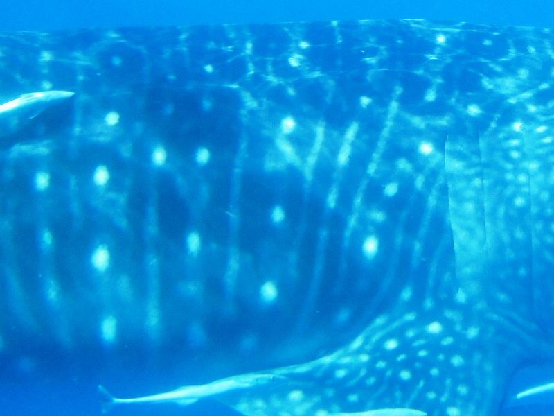 bfb4dbda-2e02-4cd0-8e76-d9851701171a