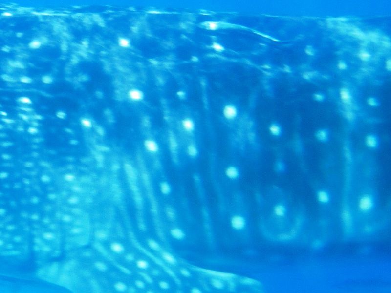 bfb4dbda-2e02-4cd0-8e76-d9851701171a