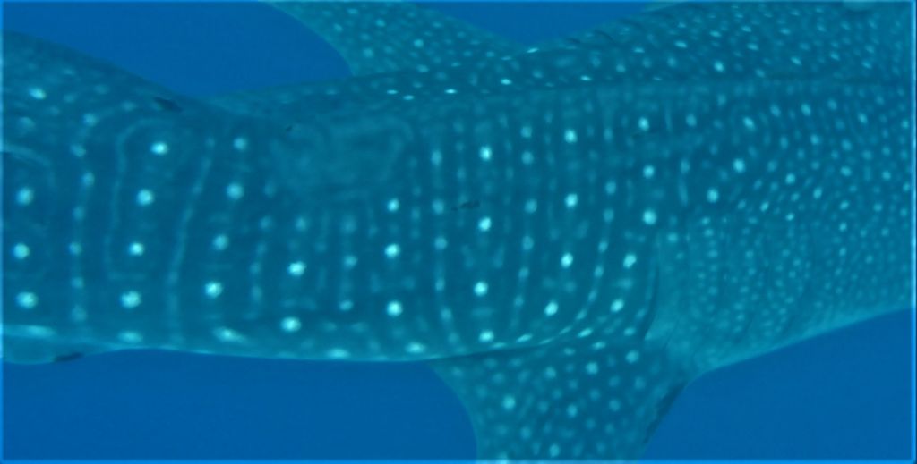 5cb874e3-3d56-4ba5-99ee-dbf231eb6f11