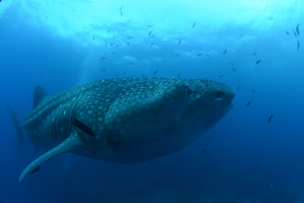 d1a37641-bc7e-483b-8af1-0fd8e4cae383