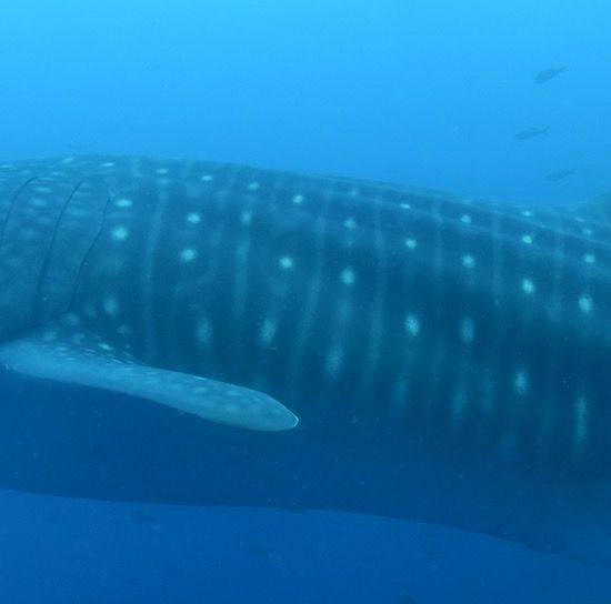 d1a37641-bc7e-483b-8af1-0fd8e4cae383