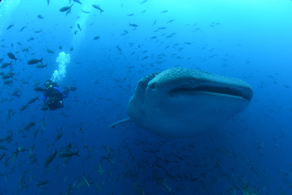 d1a37641-bc7e-483b-8af1-0fd8e4cae383