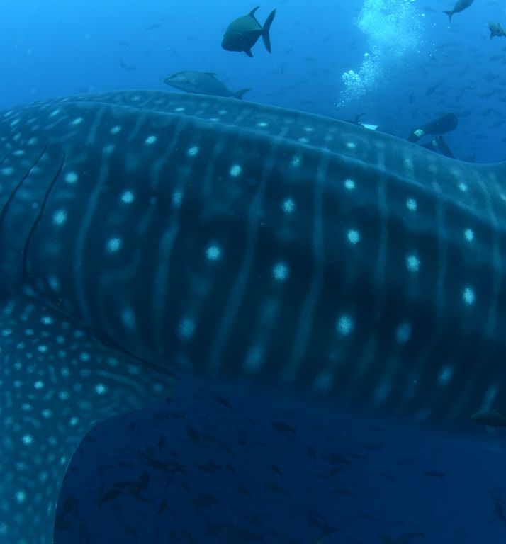 d1a37641-bc7e-483b-8af1-0fd8e4cae383