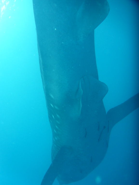 ee1eee42-770c-418c-8a71-99bda36ea9ae