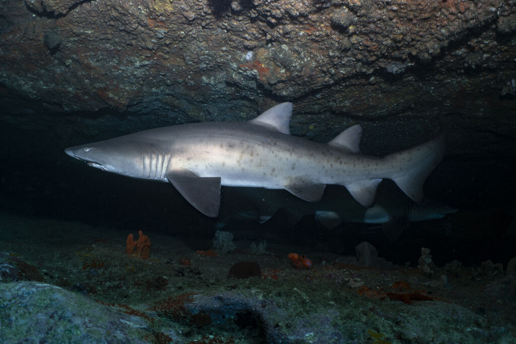 a1a6ae38-9629-4fec-b465-ba4bacb0ffc2