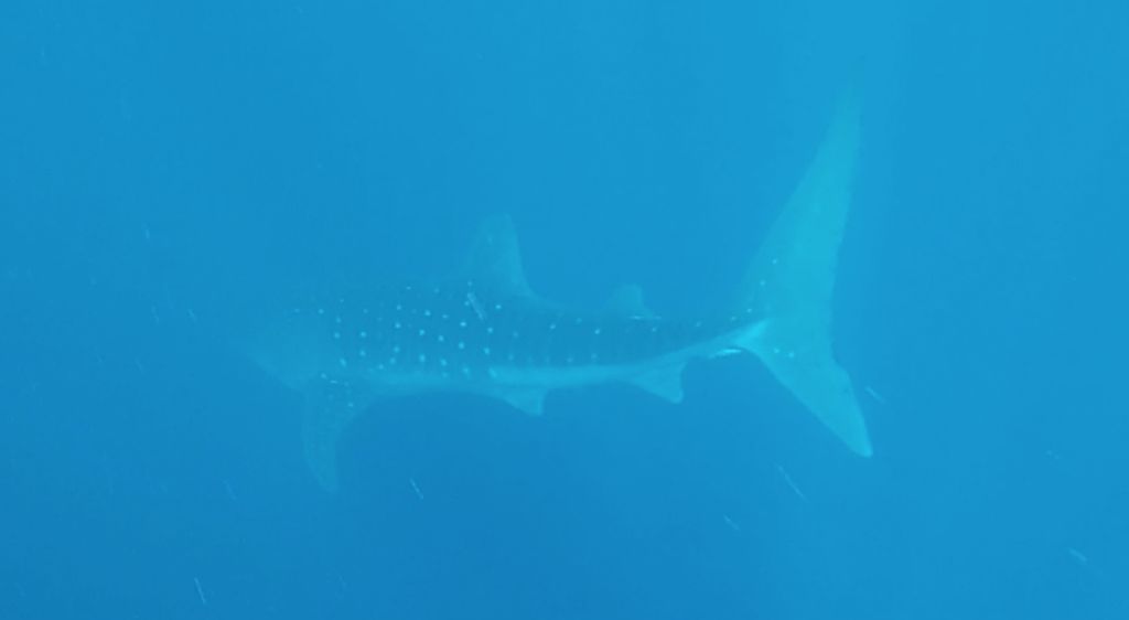 7cab6010-daef-4249-aca3-29cb9d1e0ca9