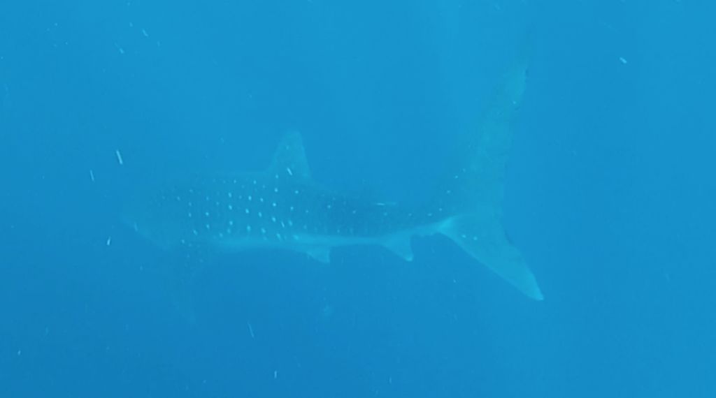 7cab6010-daef-4249-aca3-29cb9d1e0ca9