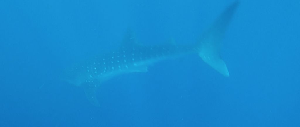 7cab6010-daef-4249-aca3-29cb9d1e0ca9