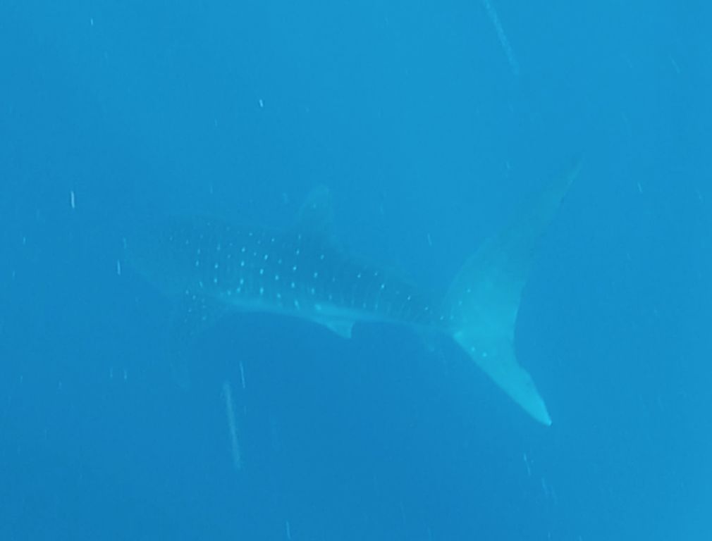 7cab6010-daef-4249-aca3-29cb9d1e0ca9