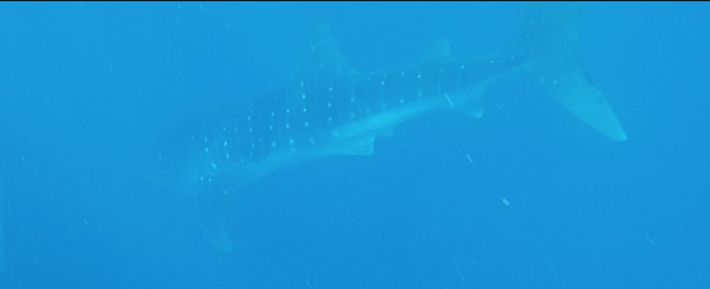 7cab6010-daef-4249-aca3-29cb9d1e0ca9