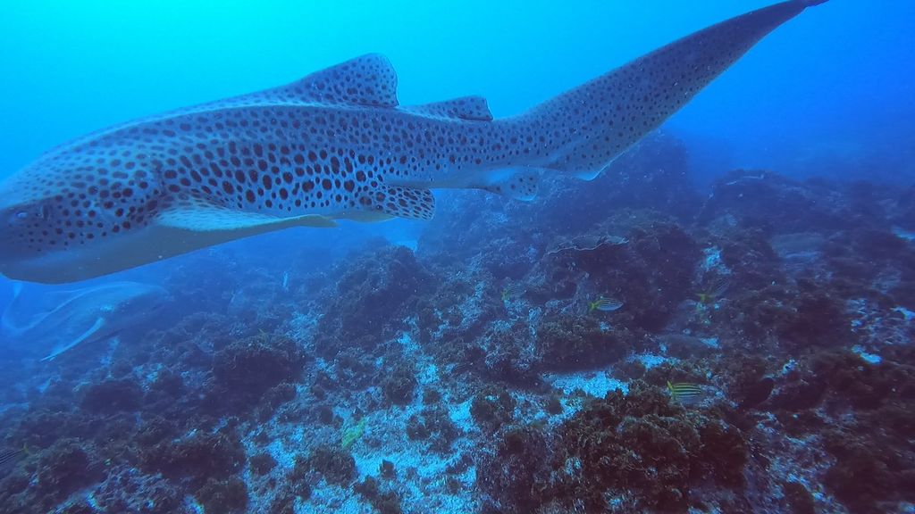 8d183822-cca5-4846-af8f-246e112f0016