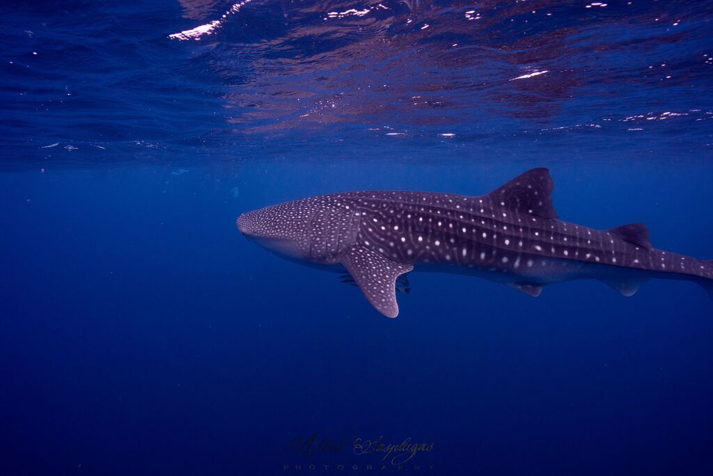 2c048854-5a78-47c2-943a-5cb7f77b4244