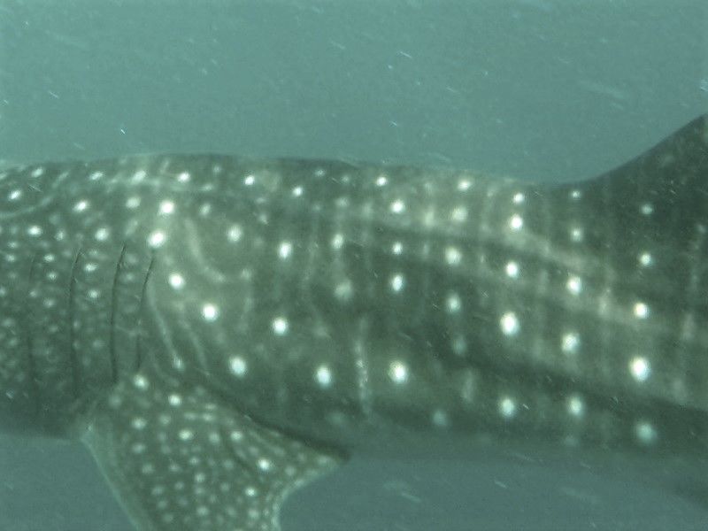 53d96a15-09db-4e71-b379-5a333d32bc95