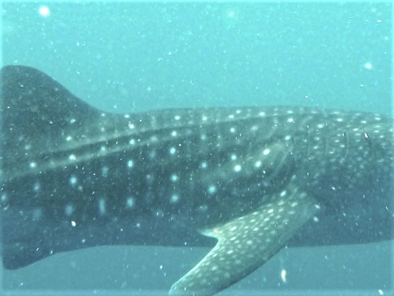 53d96a15-09db-4e71-b379-5a333d32bc95