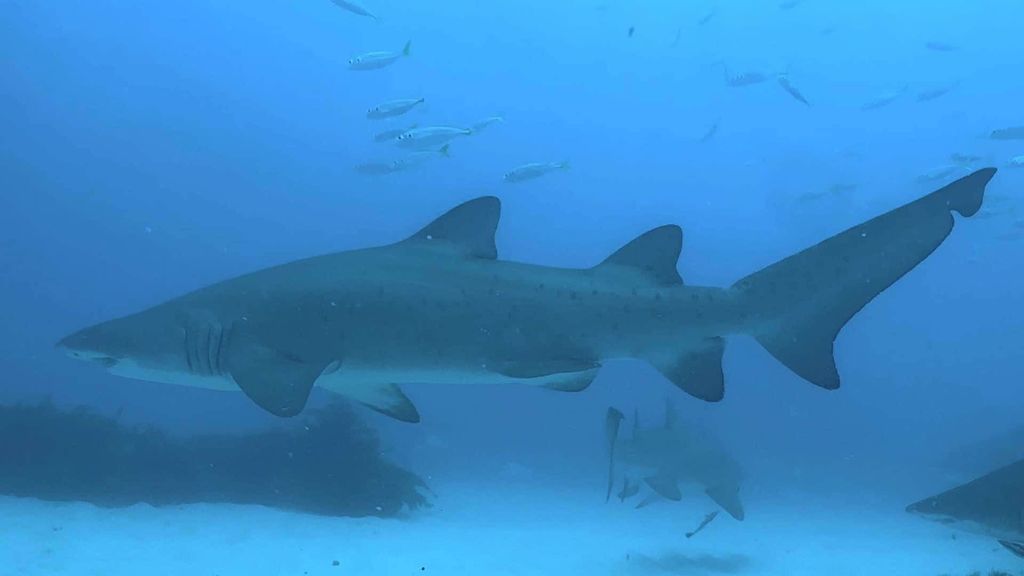 a20861d8-0be9-4afe-bf3b-9473c5e45689