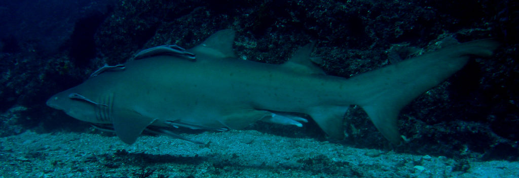 057cef94-2c2a-4f6b-802e-a9cf68c99e06