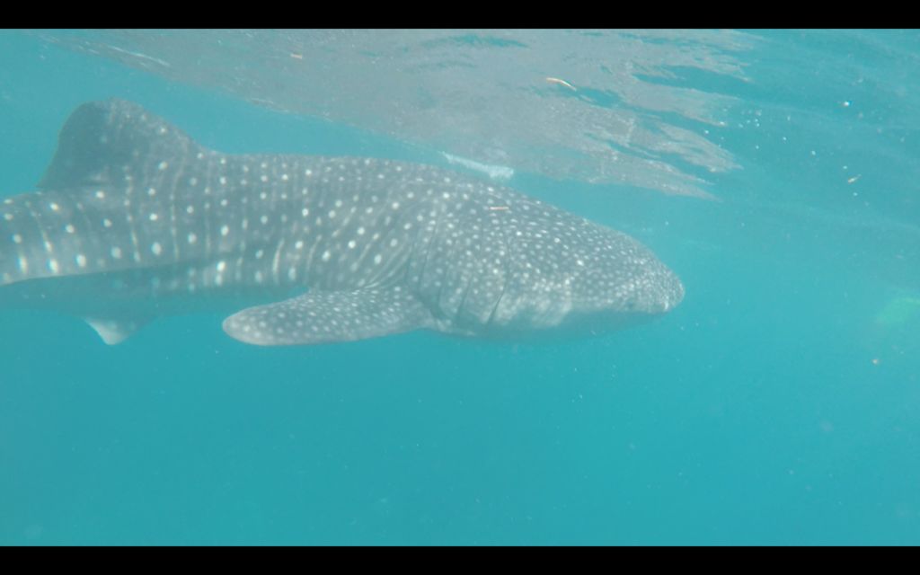 2567d51a-8c77-4d19-866e-f23620f5ce85