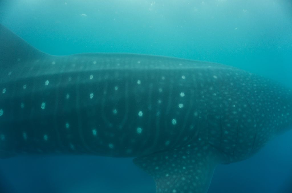 97b8fa48-0888-4456-86ca-6284b5de4f2a